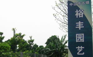 广东省中山市古镇裕丰园艺