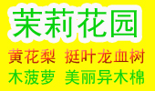 广东省湛江市茉莉花园