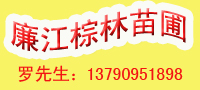 广东廉江市棕林苗圃