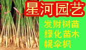 廉江市群美园艺