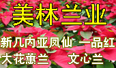 广州市美林兰业
