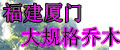 厦门市海沧加美草坪苗木场