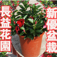 长益花园