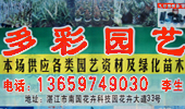 湛江市多彩园艺