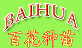 广州市百花种苗场(广州种苗、荫生种苗、绿化种苗)