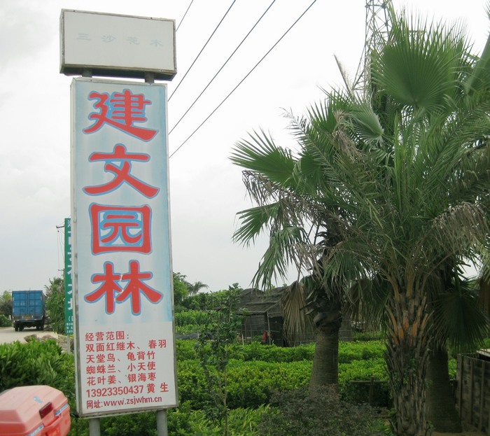 广东省中山市建文园林