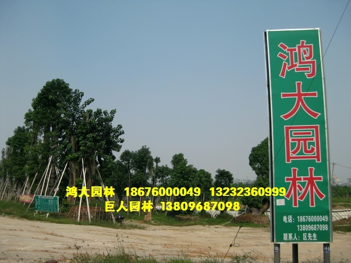 中山市鸿大园林（巨人园林）