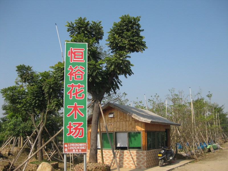 广东省中山市恒裕花木场