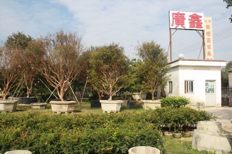 广东广鑫园艺