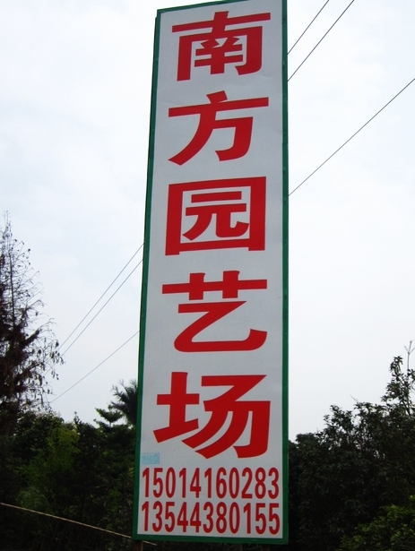 广州市南方园艺