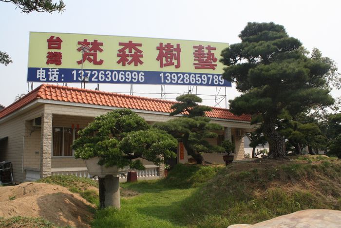 台湾梵森树艺