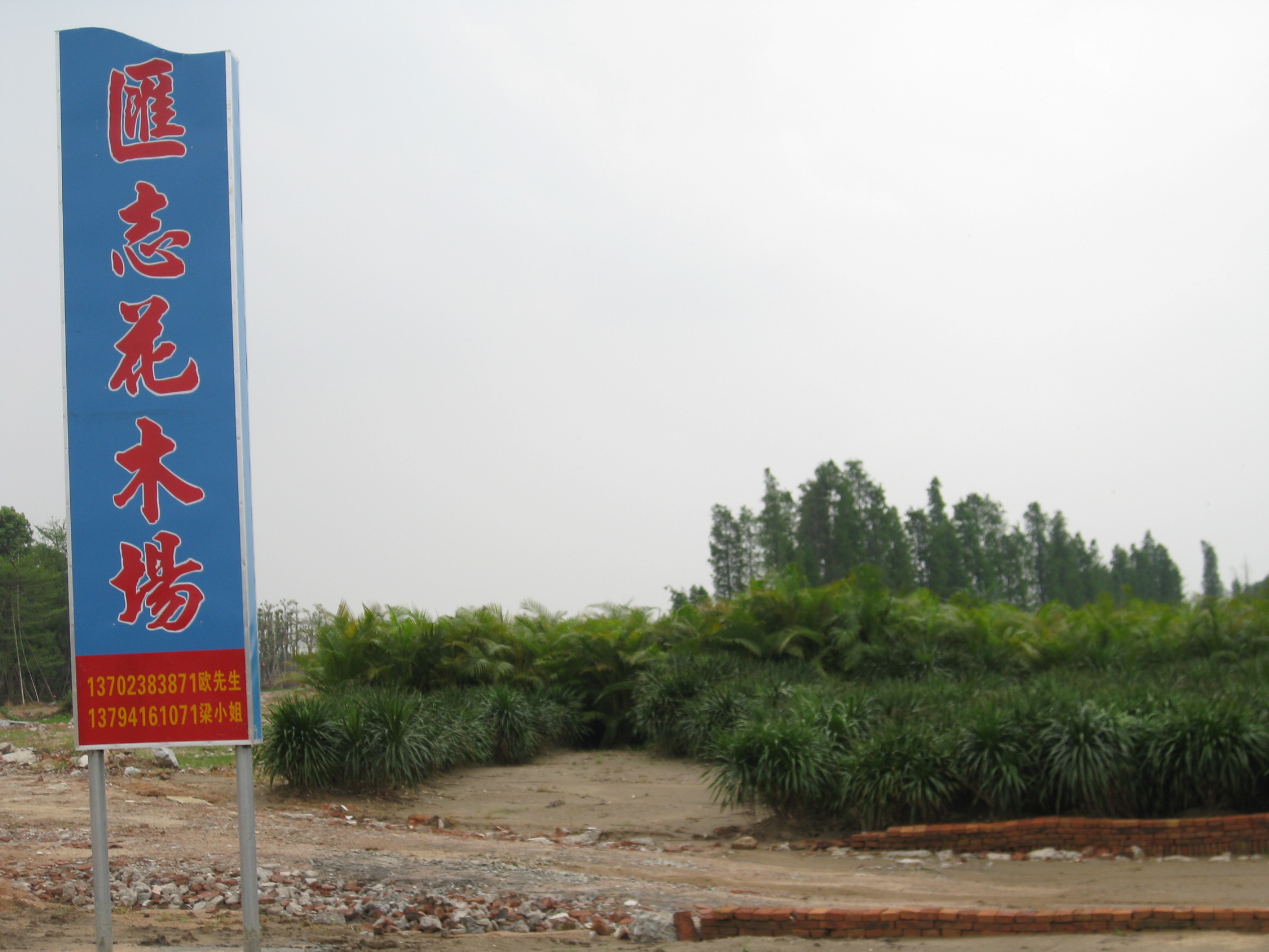 广东省中山市汇志花木场