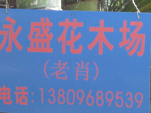 中山永盛花木场
