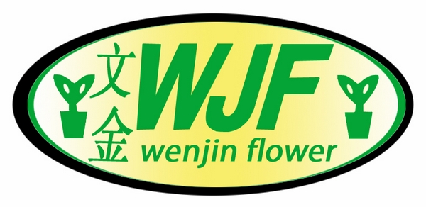 佛山市顺德区陈村花卉世界文金园艺