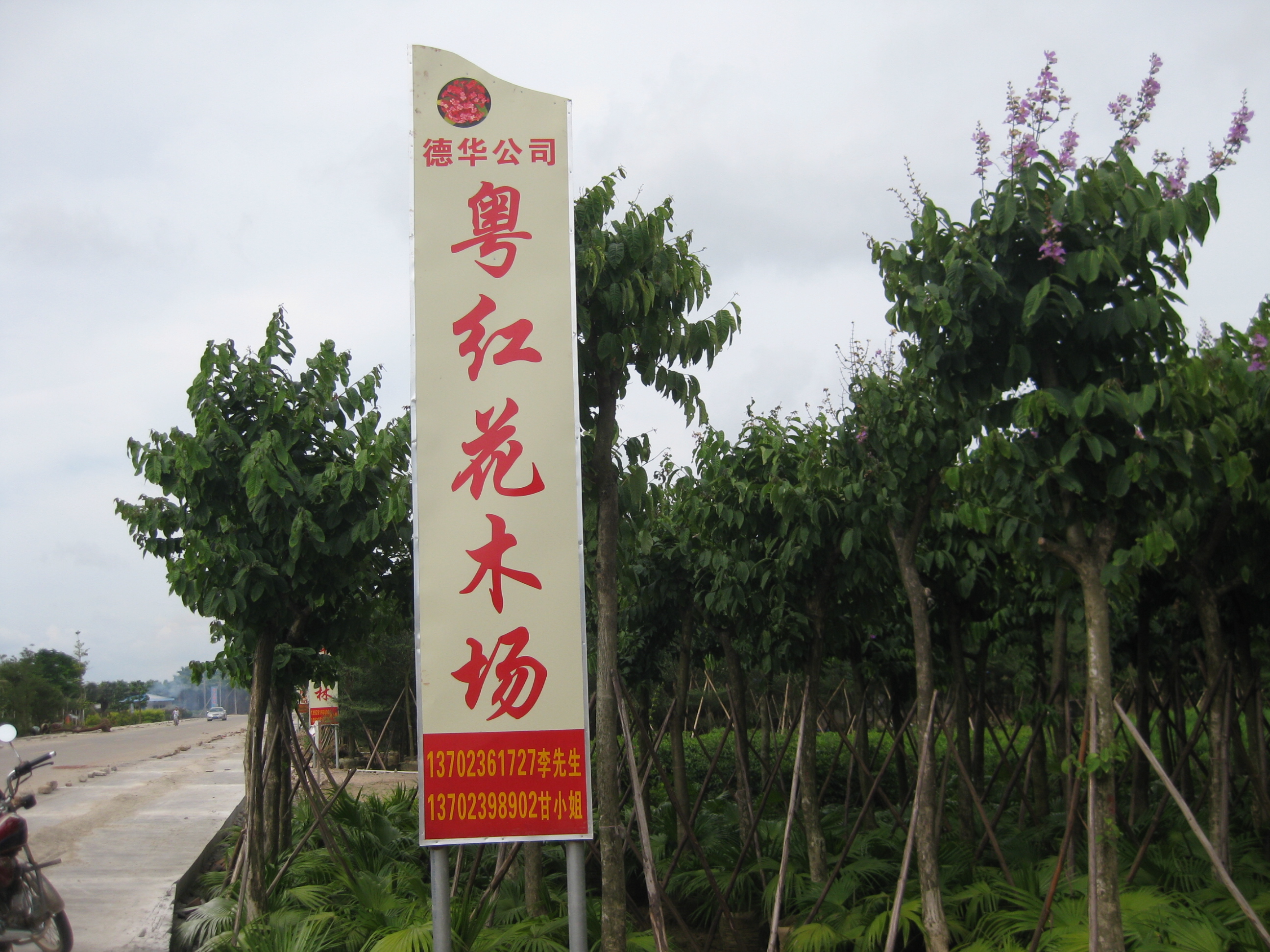 中山市粤红花木场