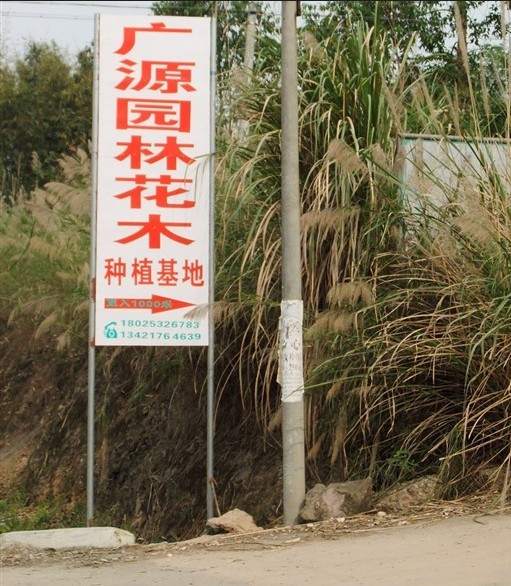 广东省阳春市广源园林