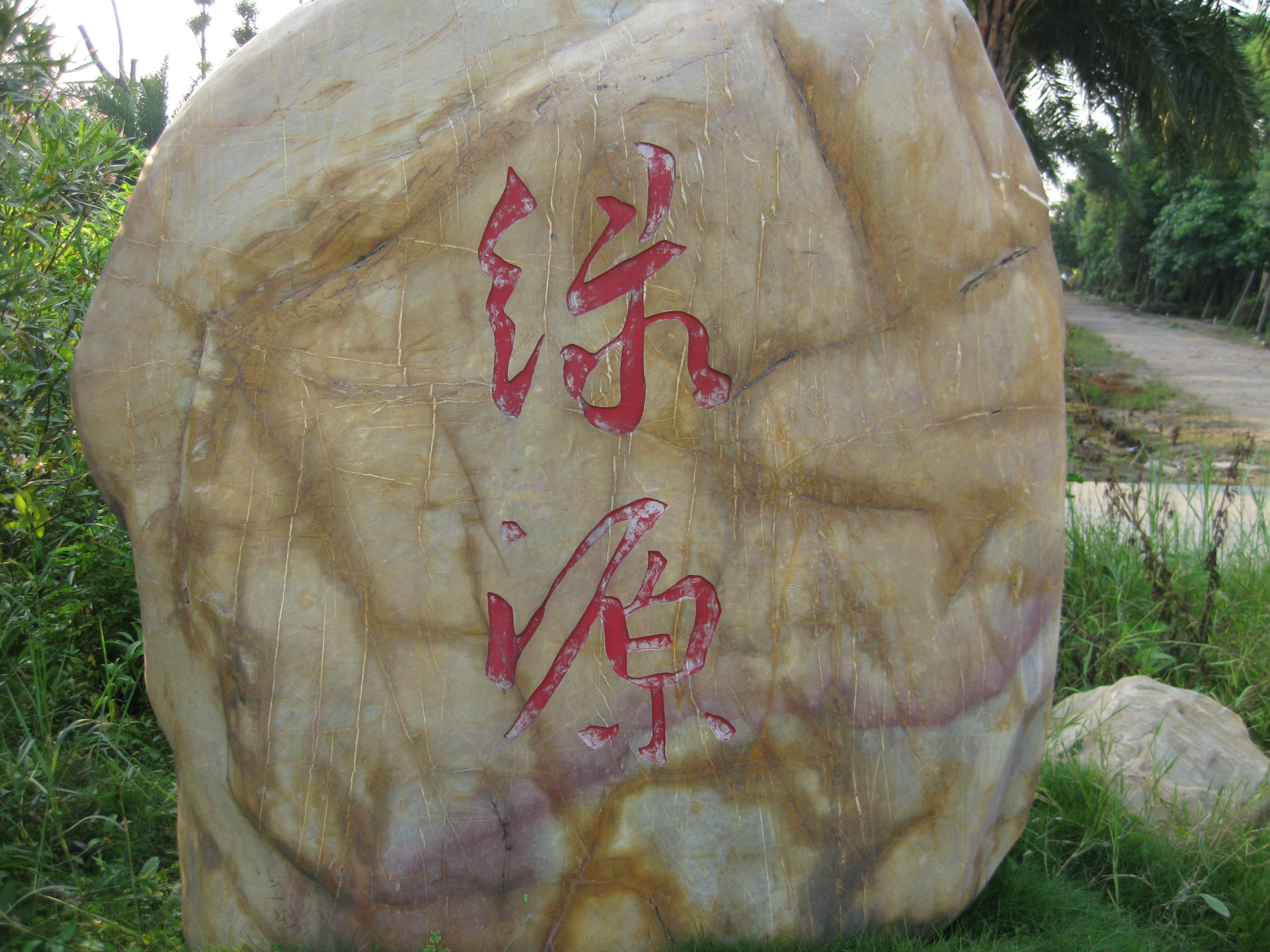中山古镇绿源花木