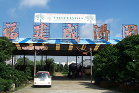 广东省佛山市福建成洲园艺