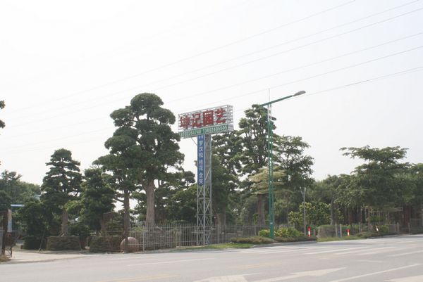 广东省佛山市顺德区陈村坤记花场