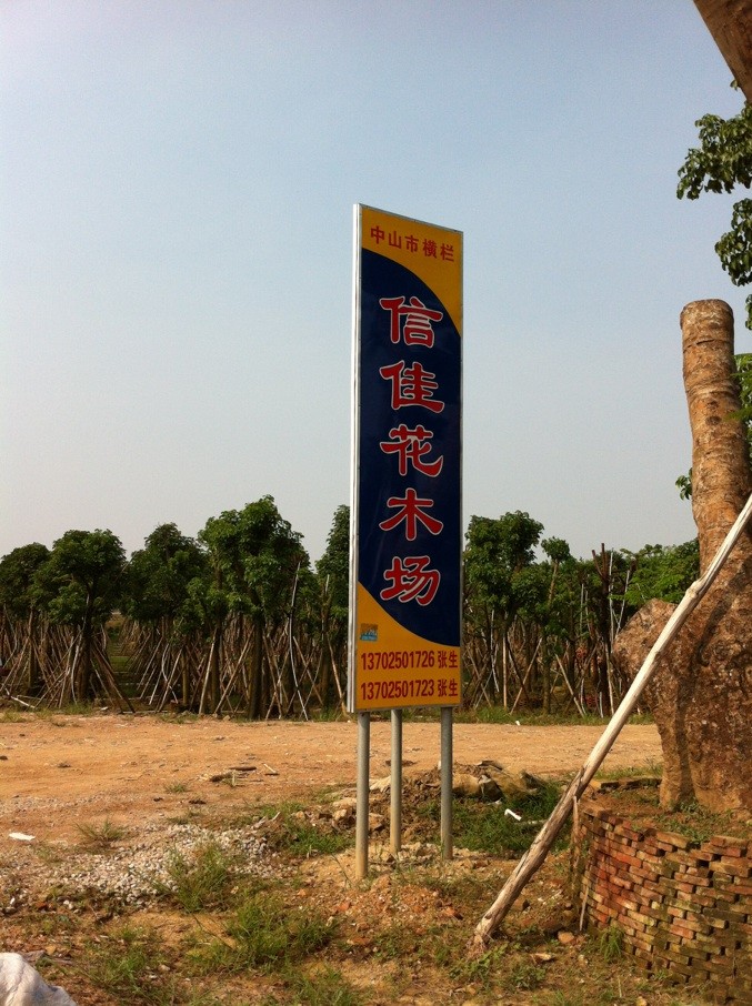 广东省中山市信佳花木场