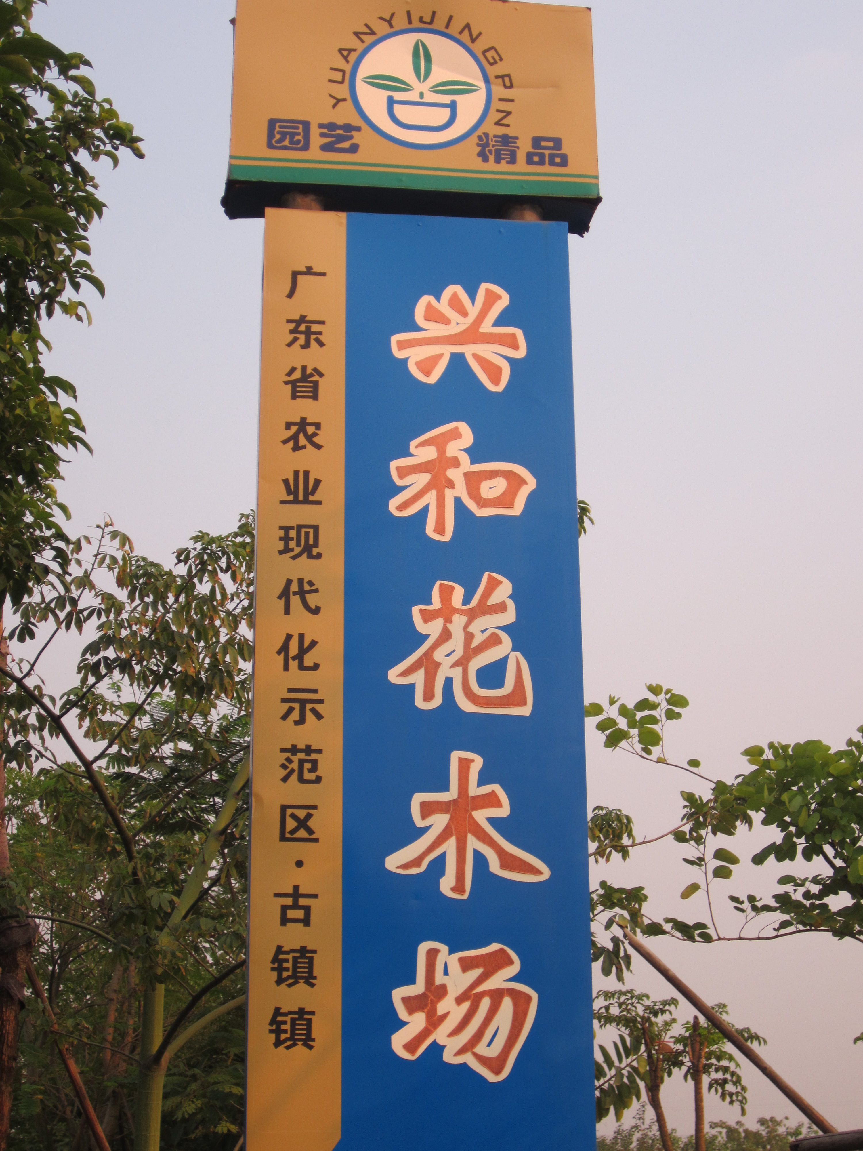 中山兴和花木场