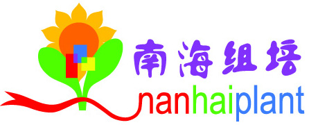 南海组培苗圃场
