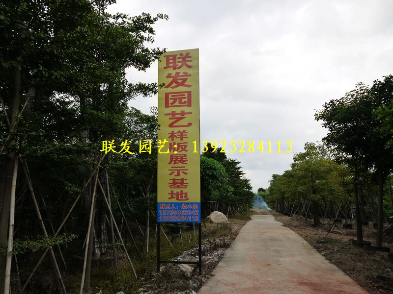 番禺联发园艺