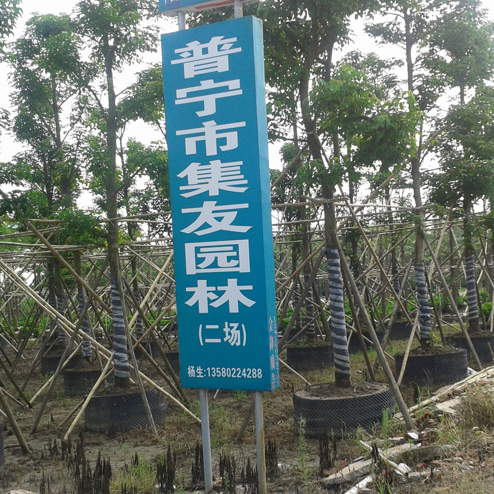 中山市集友园林花木场