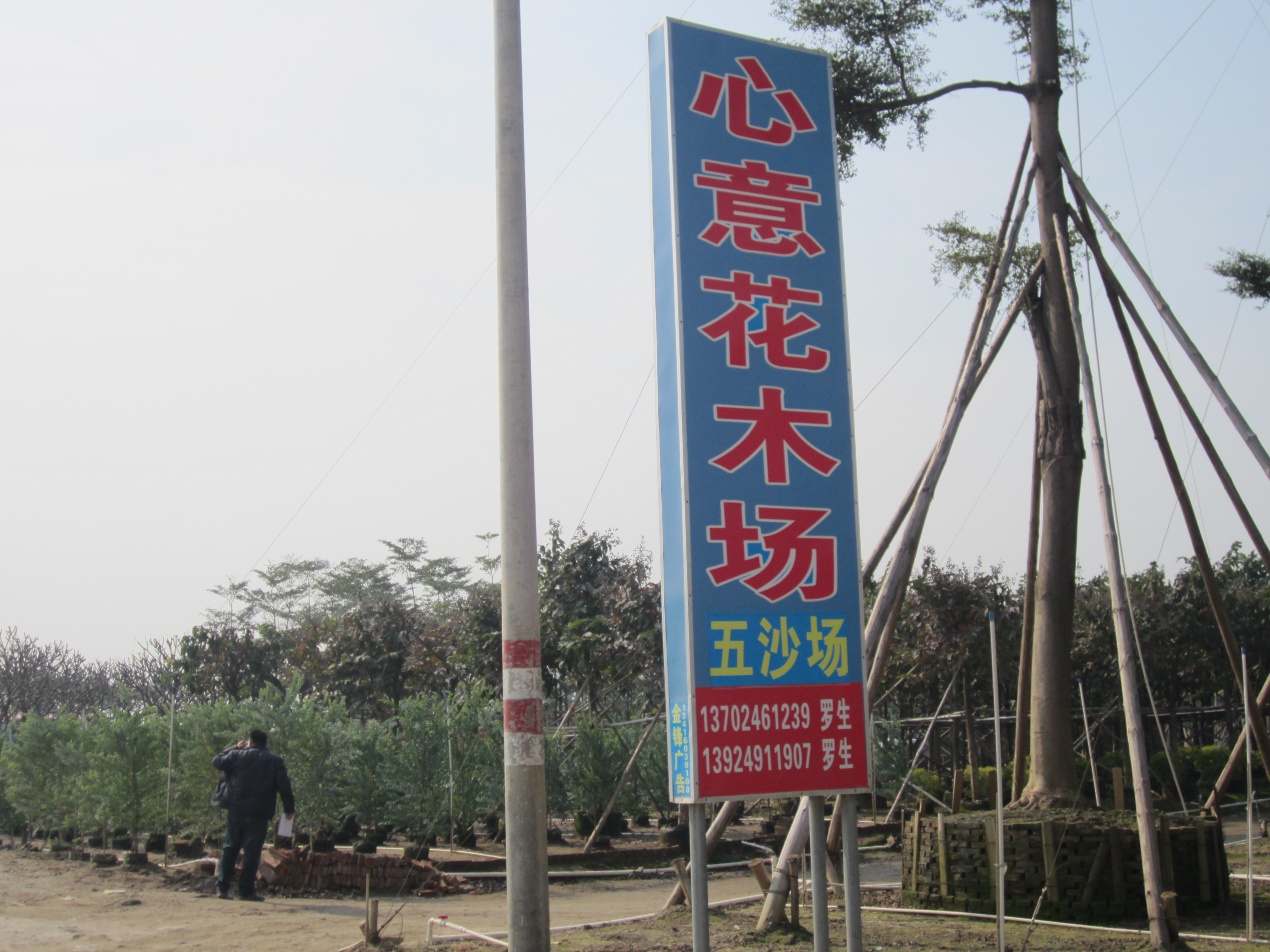 中山市心意花木场