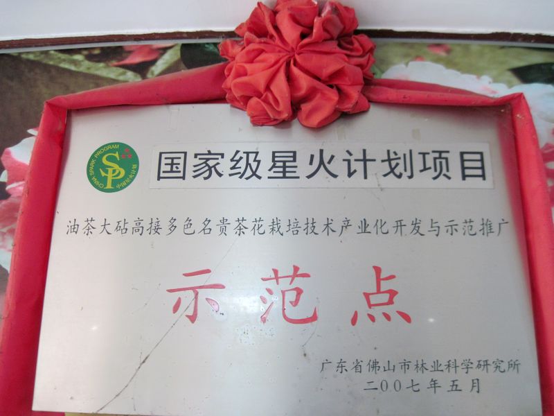 北滘清沙区绿园林