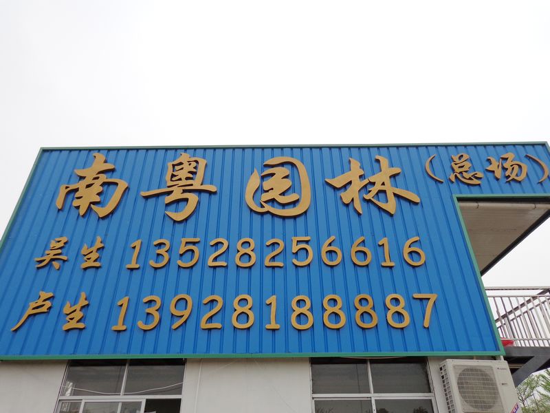 中山南粤园林建设