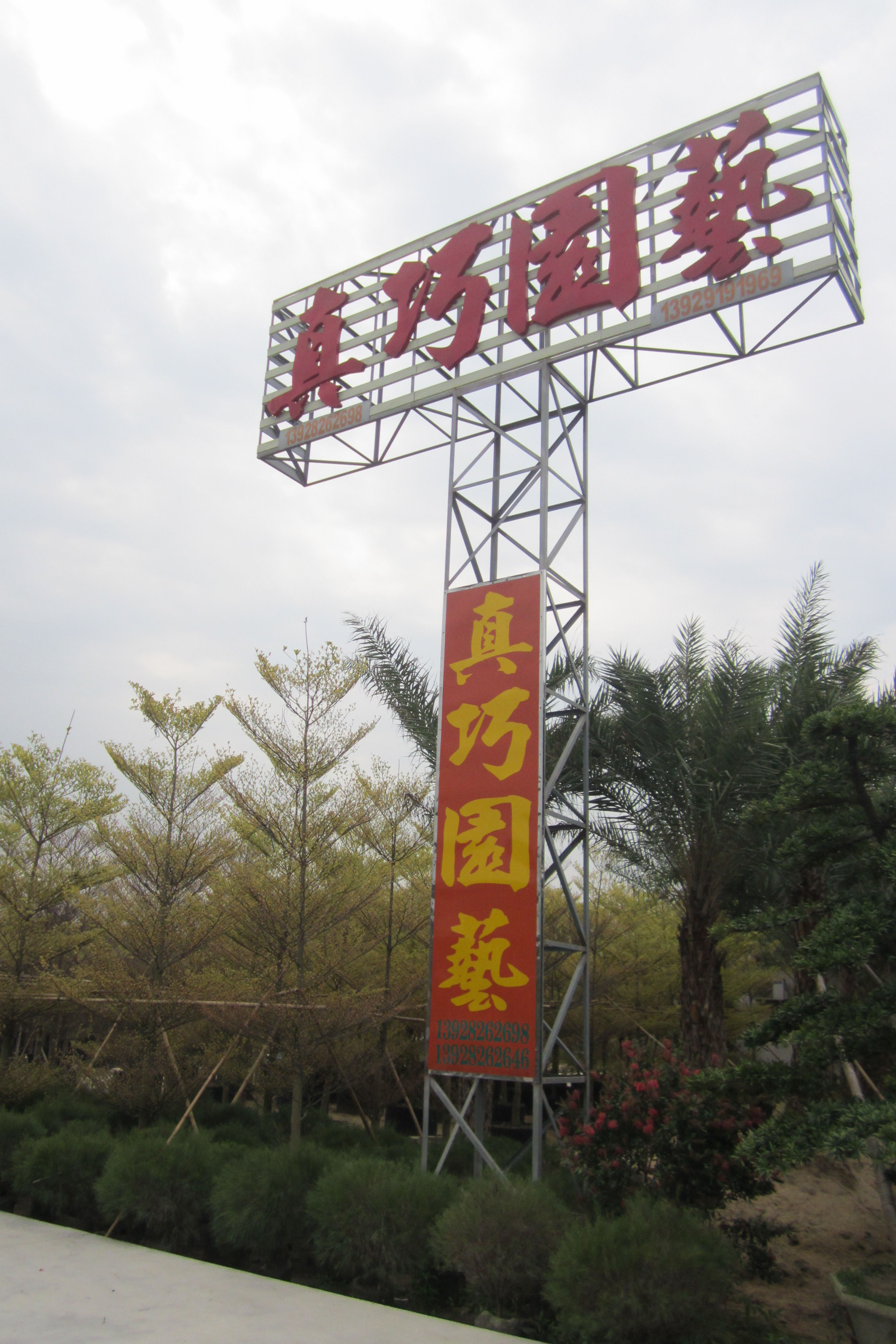 顺德陈村镇真巧园艺