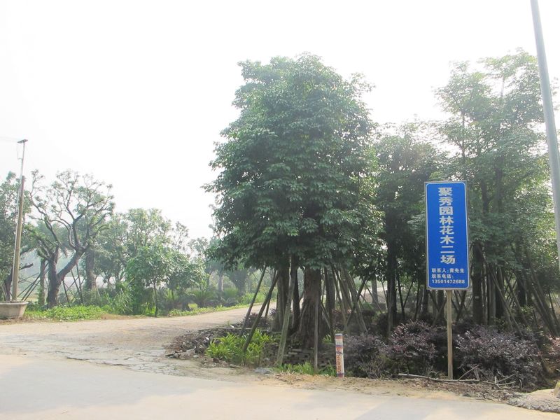 广州市聚秀园林花木场