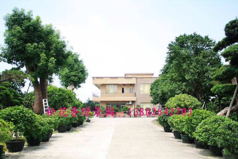 佛山市顺德区松花香绿景园