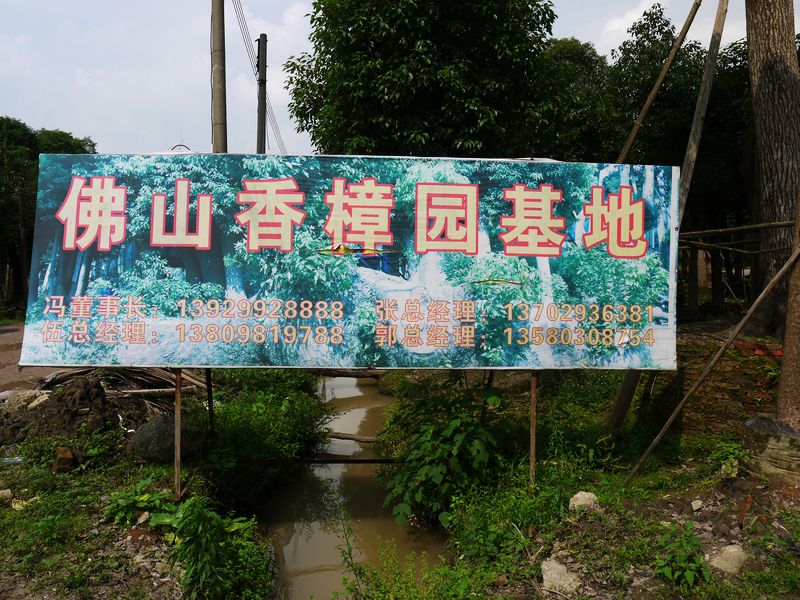 佛山香樟园基地