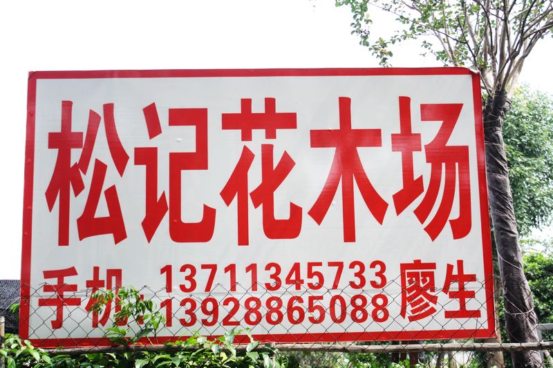 广州市番禺区松记花木场