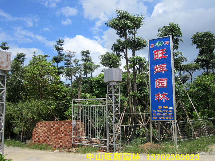 中山市旺辉园林