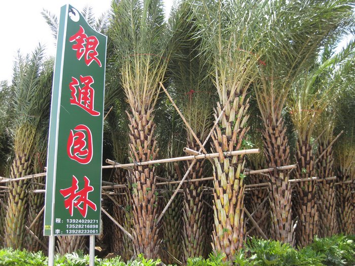 中山市银通园林
