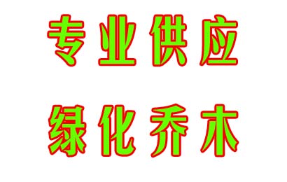 中山市圣泽园林