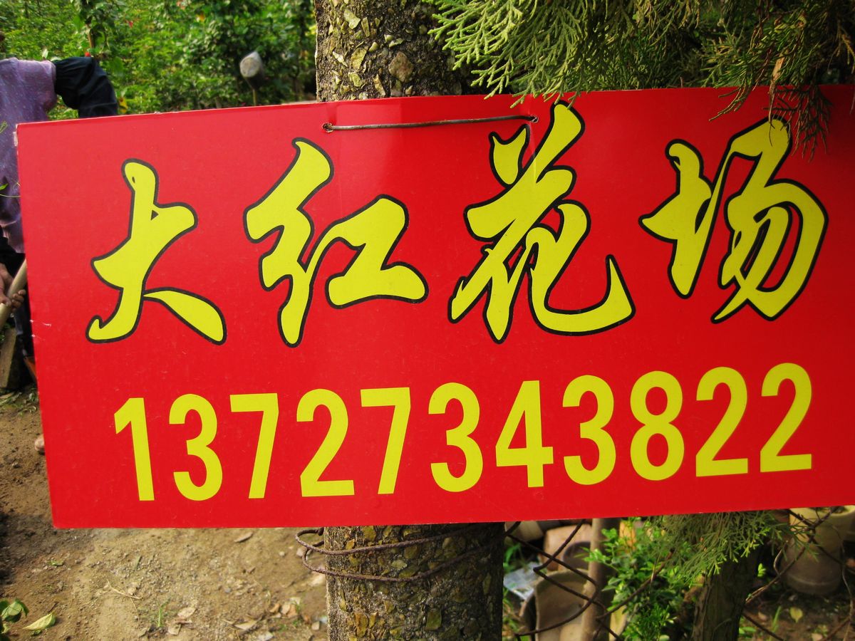 顺德陈村镇大红花场