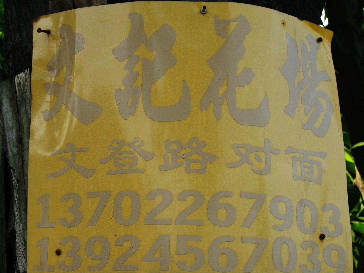 陈村文记花场