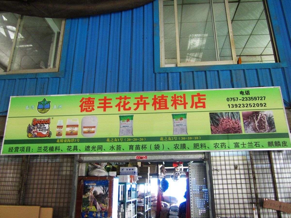 佛山市顺德区德丰花卉植料店