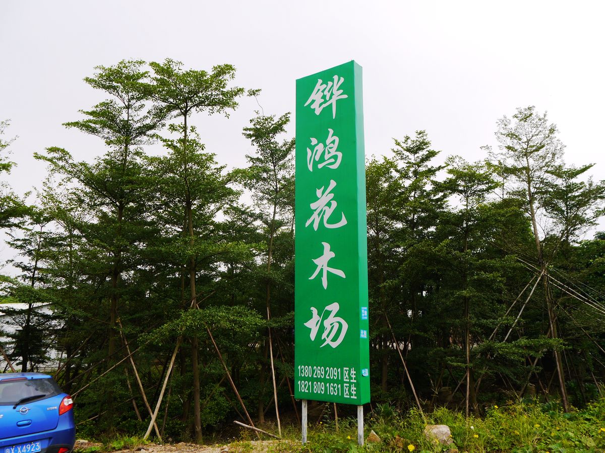 中山市铧鸿花木场