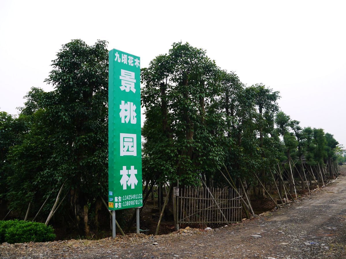 中山市横栏镇景桃园林
