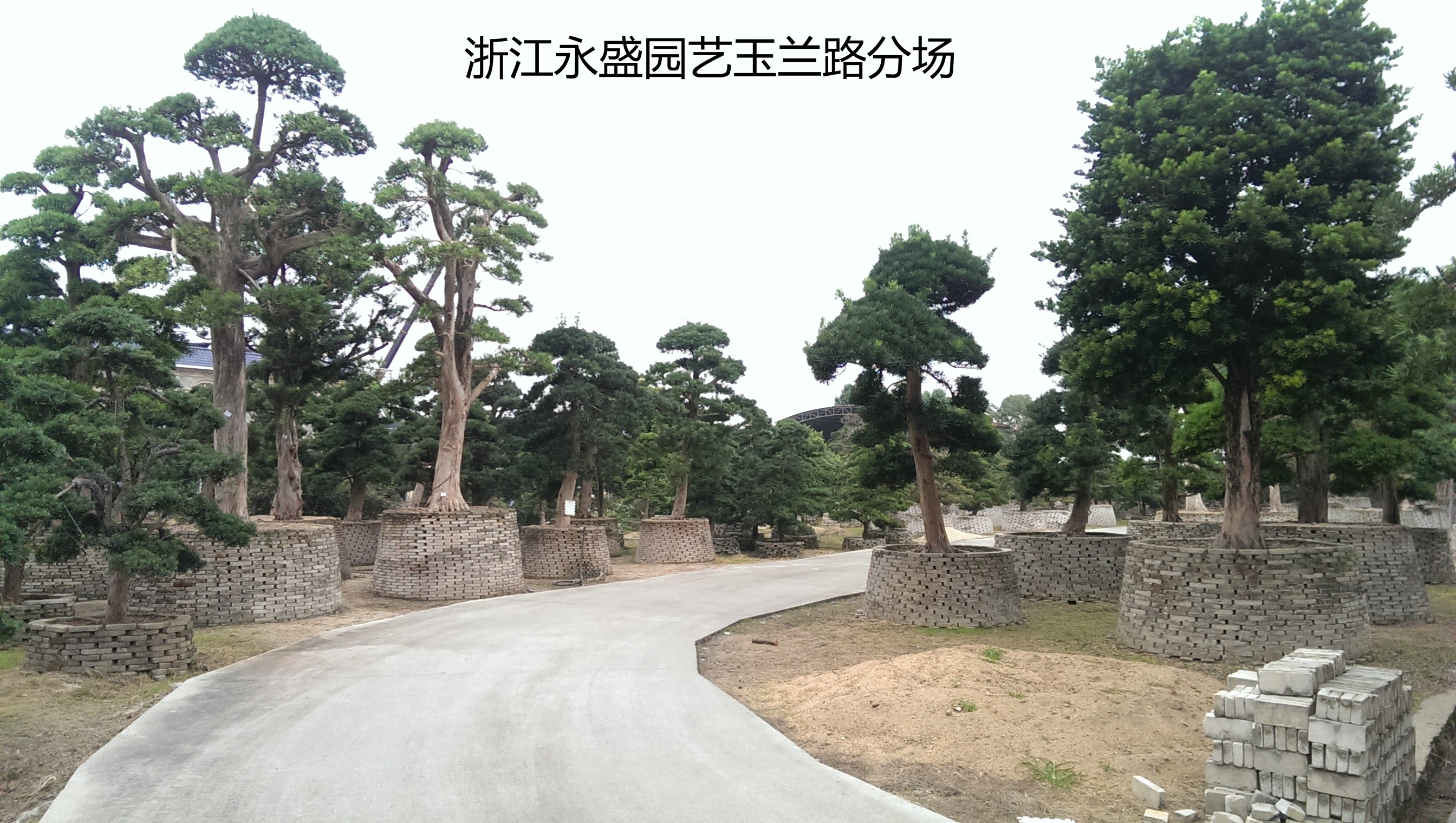浙江永盛园艺