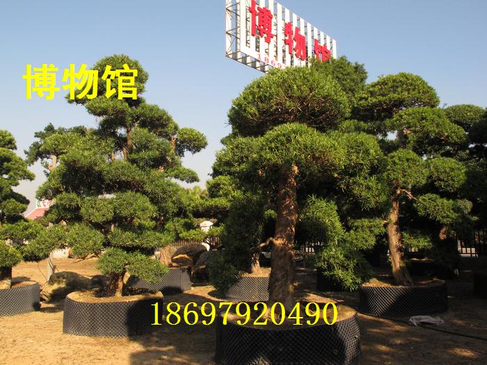佛山市博物馆