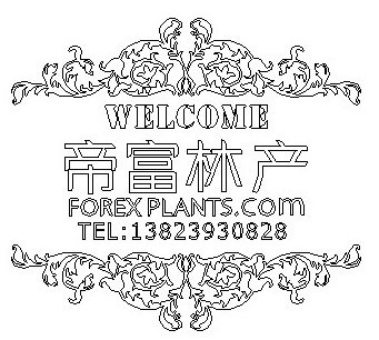 大宗绿化苗木—帝富林产