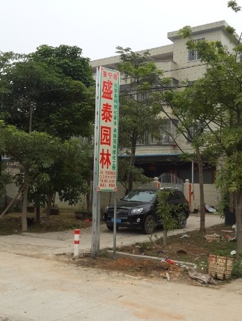 广东省普宁市盛泰园林花木场