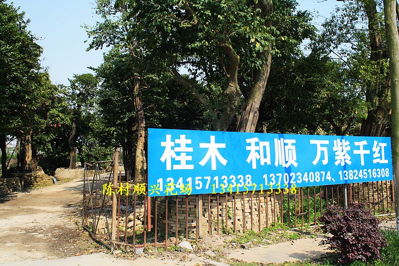 佛山市顺德区陈村镇顺兴花场