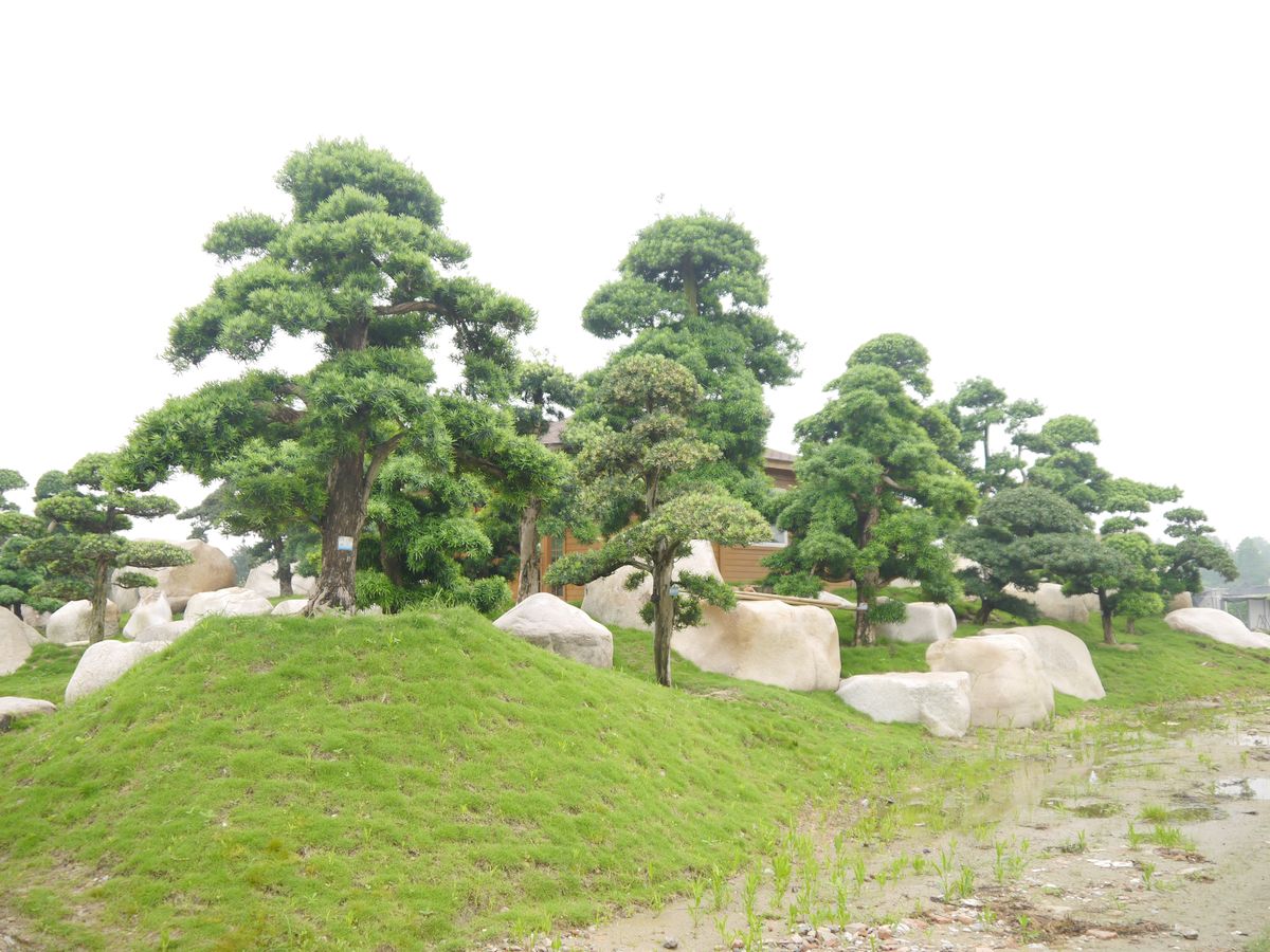 佛山市松坊园艺